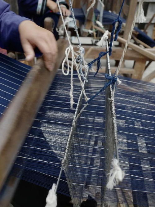 開始看樹逛田的設計師們