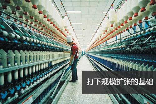 揭秘 魏橋帝國 山東首富擴(kuò)張之路